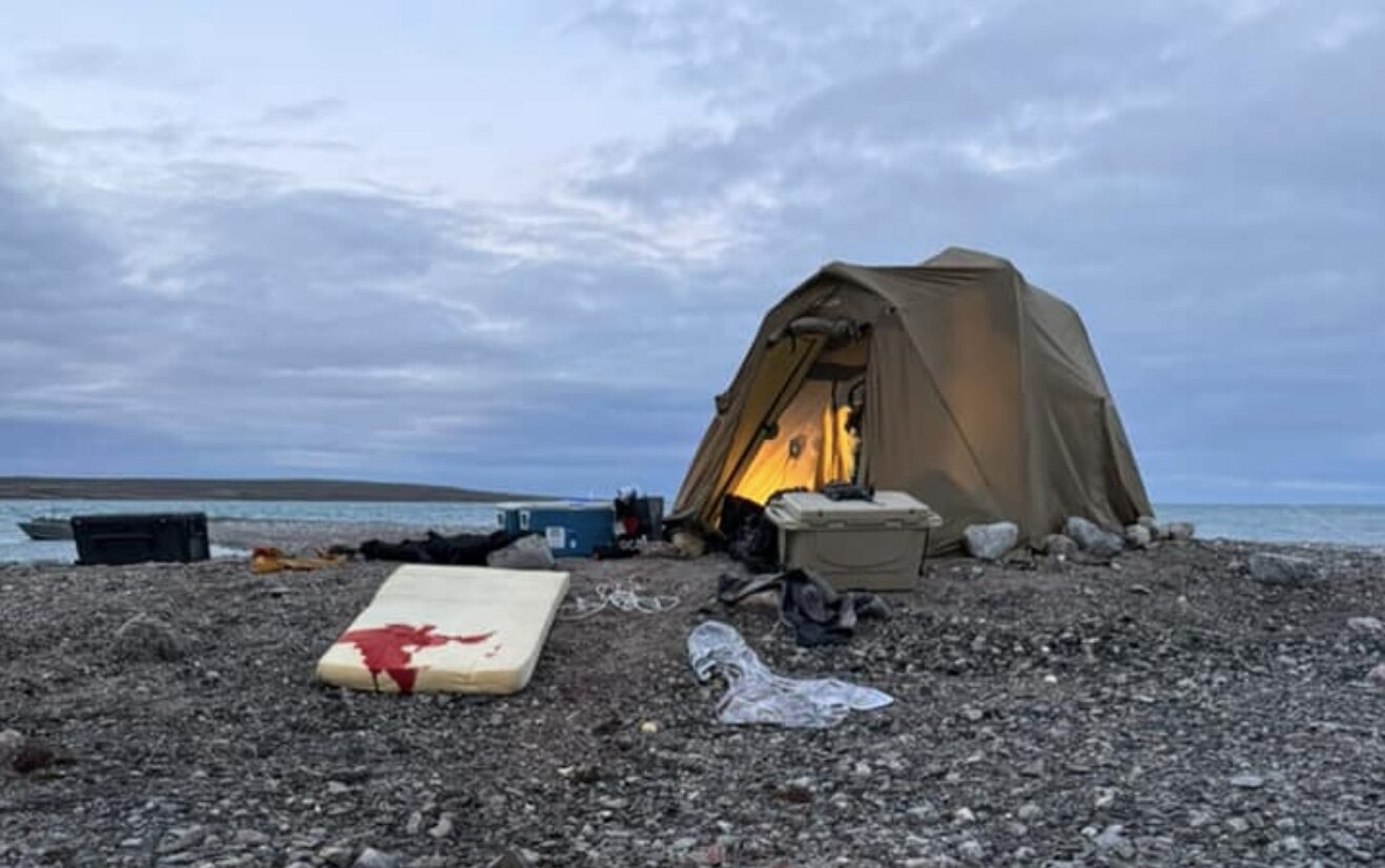 green tent on a barren mound